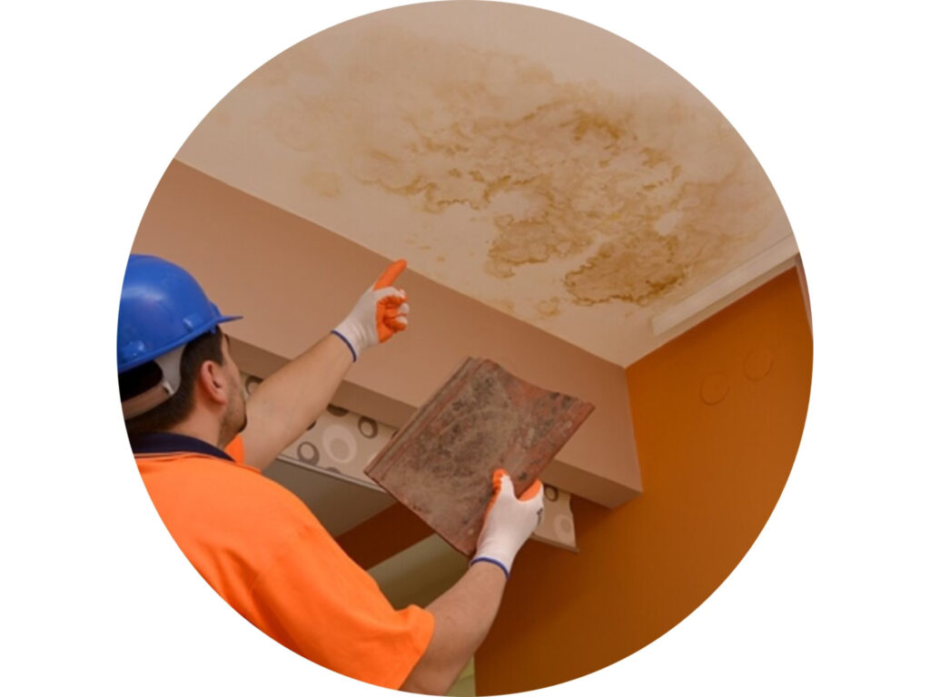 Picturia Home est une entreprise spécialisée dans l'intervention après sinistre